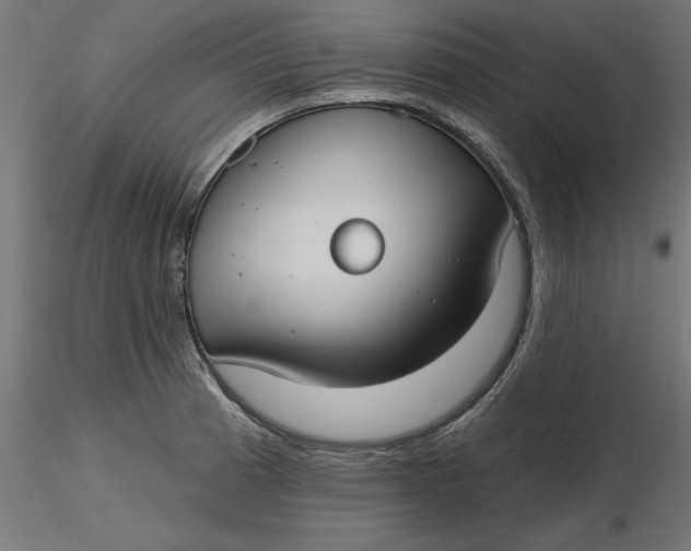 X0000116651185200912291610