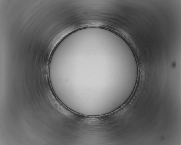X0000116651186200912291610