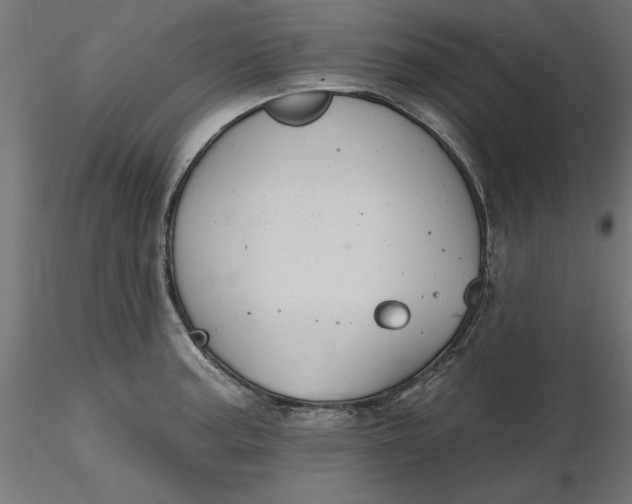 X0000116651187200912291610