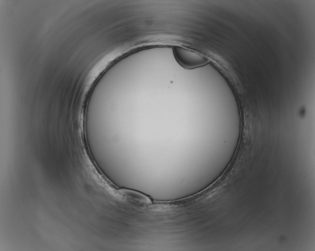 X0000116651188200912291610