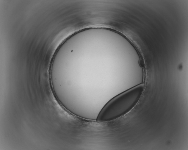 X0000116651189200912291610