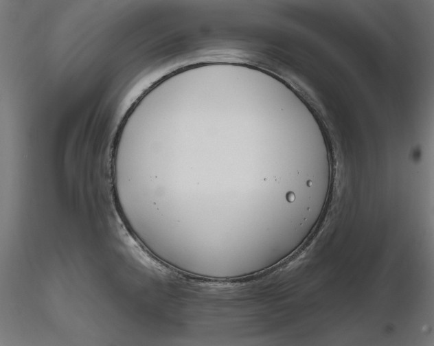 X0000116651192200912291610