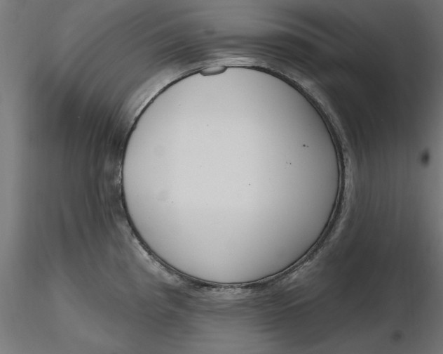 X0000116651193200912291610