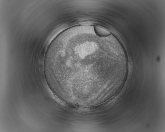 X0000116651194200912291610