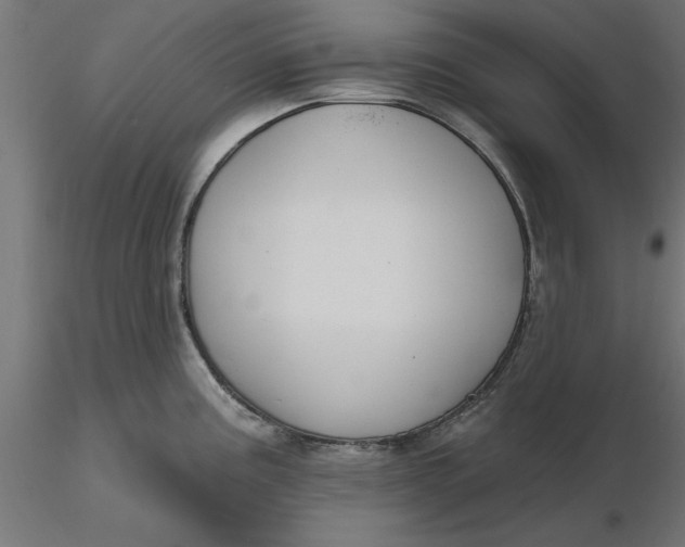 X0000116651195200912291610