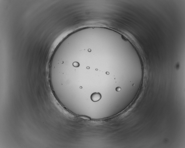 X0000116651196200912291610