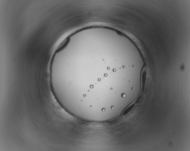 X0000116651199200912291609