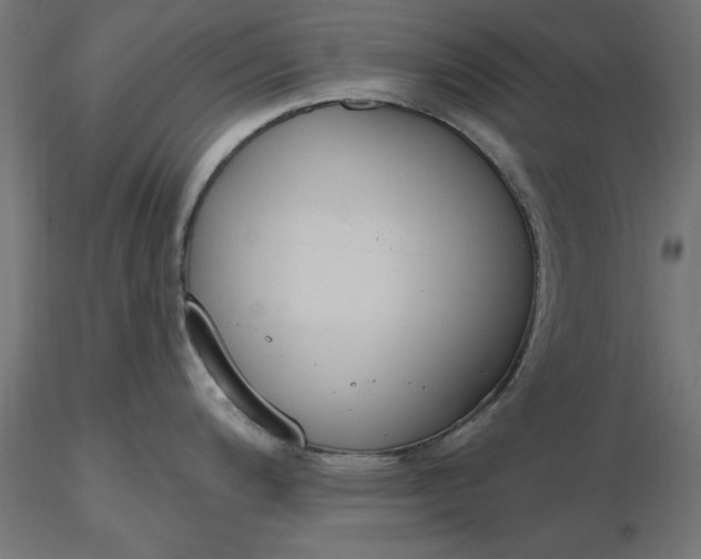 X0000116651200200912291609
