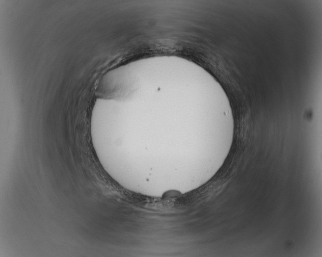 X0000116651201200912291609