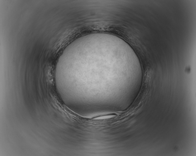 X0000116651202200912291609