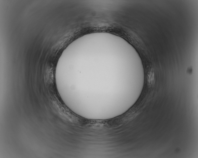 X0000116651204200912291609