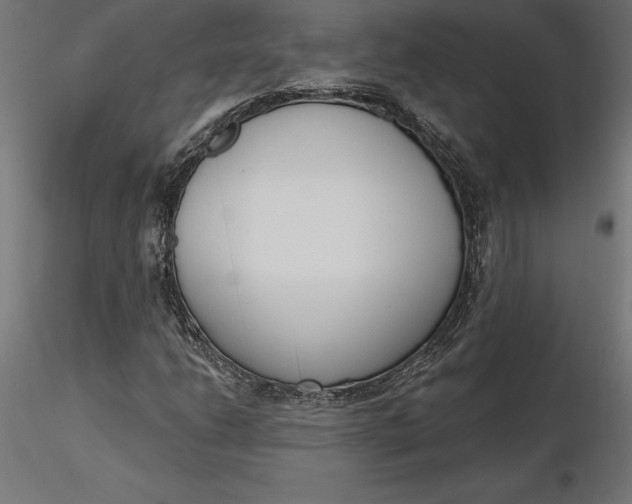 X0000116651206200912291609