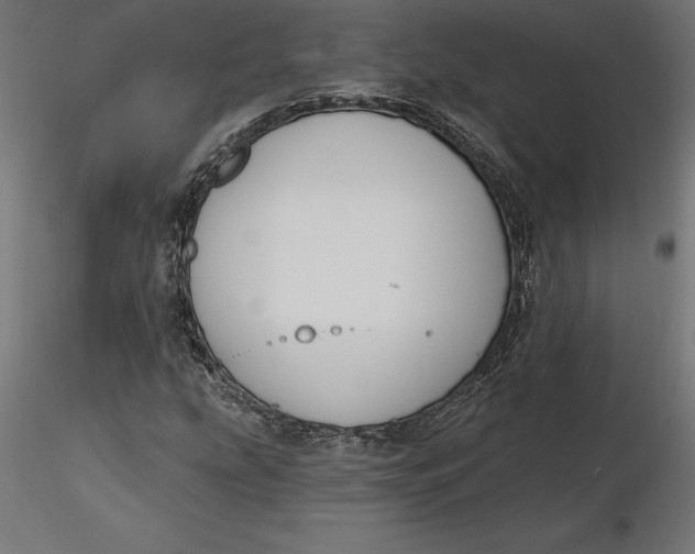 X0000116651207200912291609
