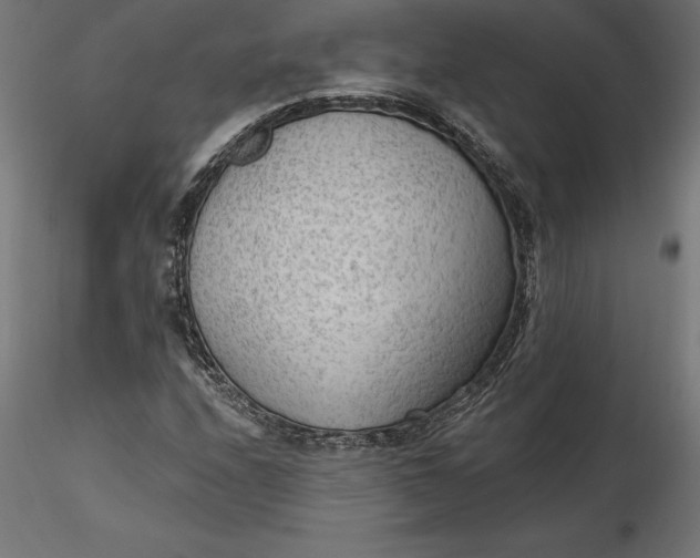 X0000116651208200912291609