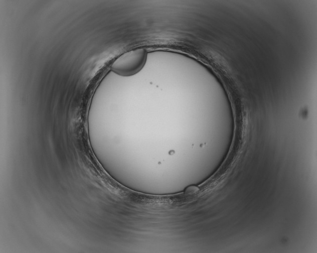 X0000116651210200912291609