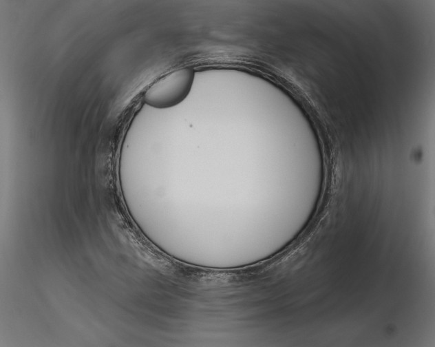 X0000116651211200912291609