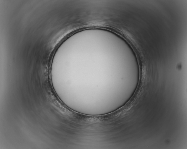 X0000116651212200912291609