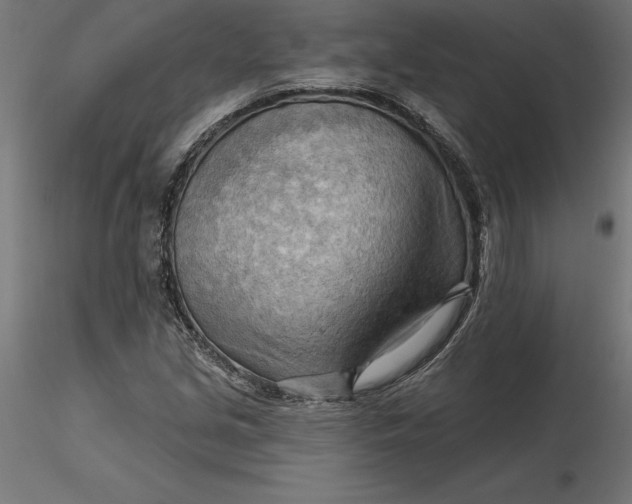 X0000116651213200912291609