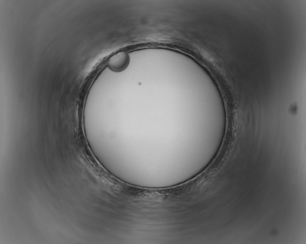 X0000116651214200912291609