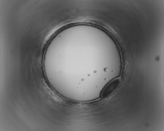 X0000116651216200912291609
