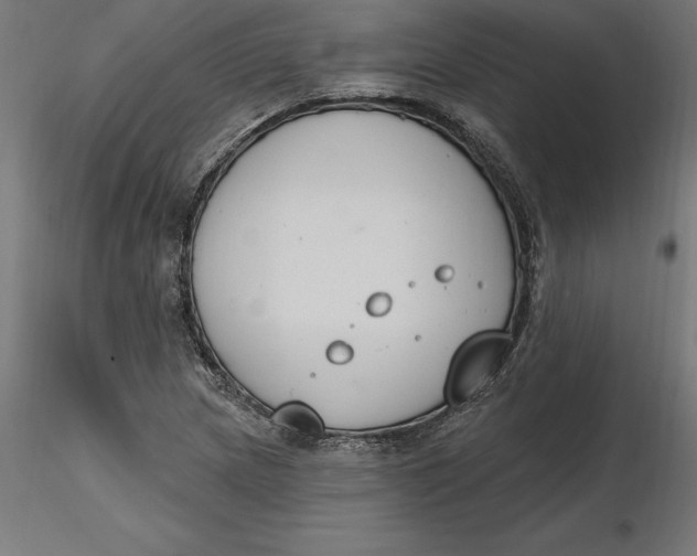 X0000116651217200912291609