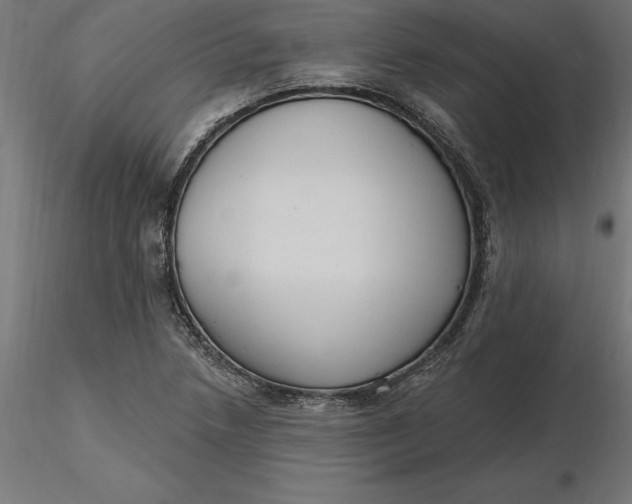 X0000116651218200912291609