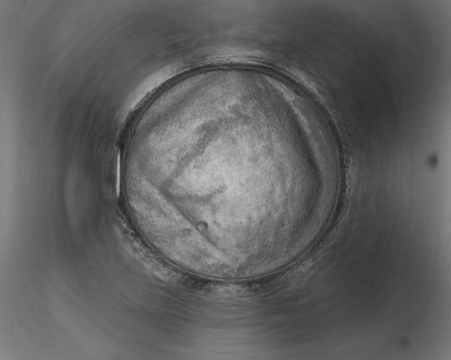 X0000116651219200912291609