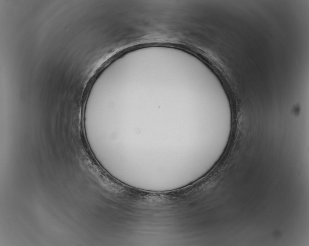 X0000116651220200912291609