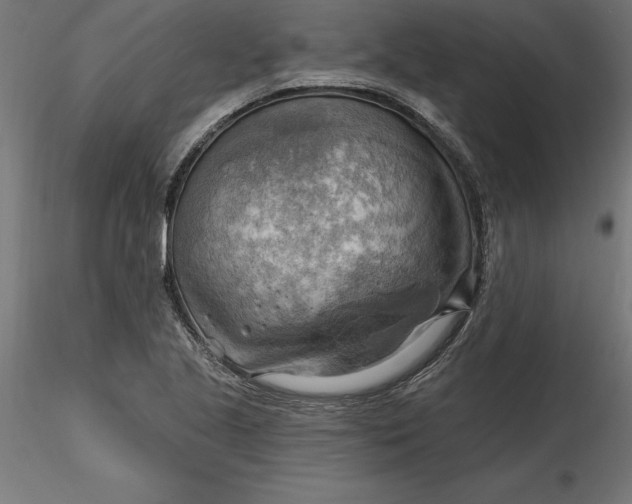 X0000116651221200912291609