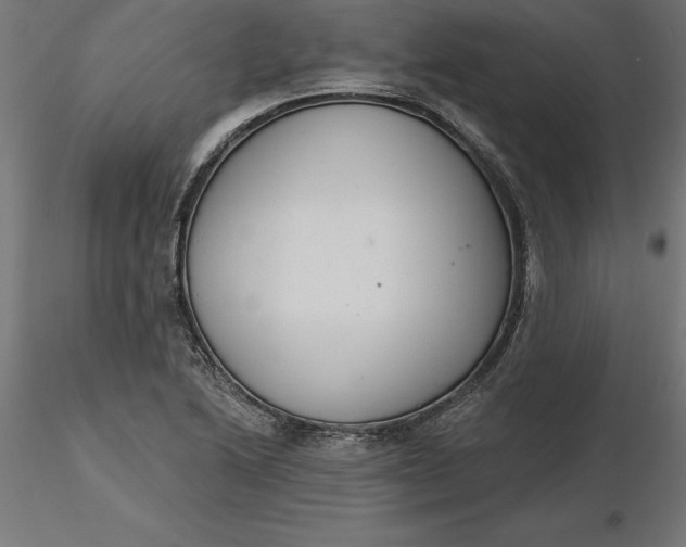 X0000116651222200912291609