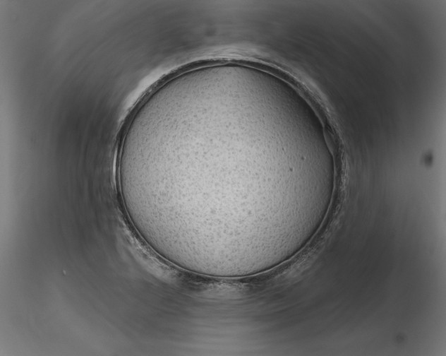 X0000116651224200912291609