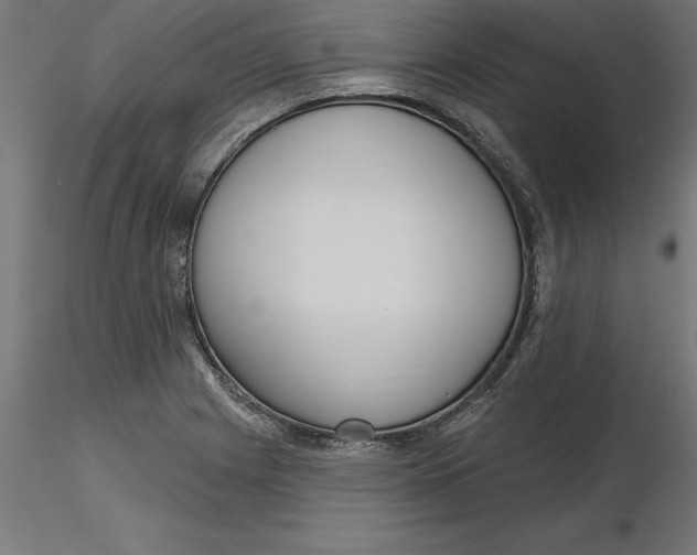 X0000116651225200912291609