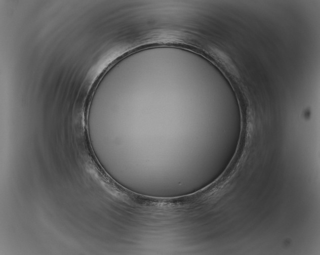 X0000116651226200912291609