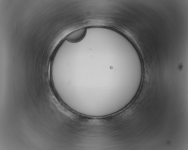 X0000116651227200912291609