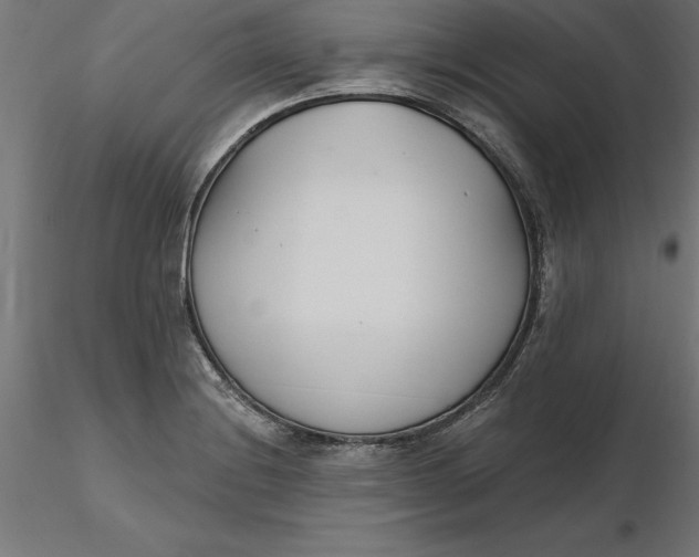 X0000116651228200912291609