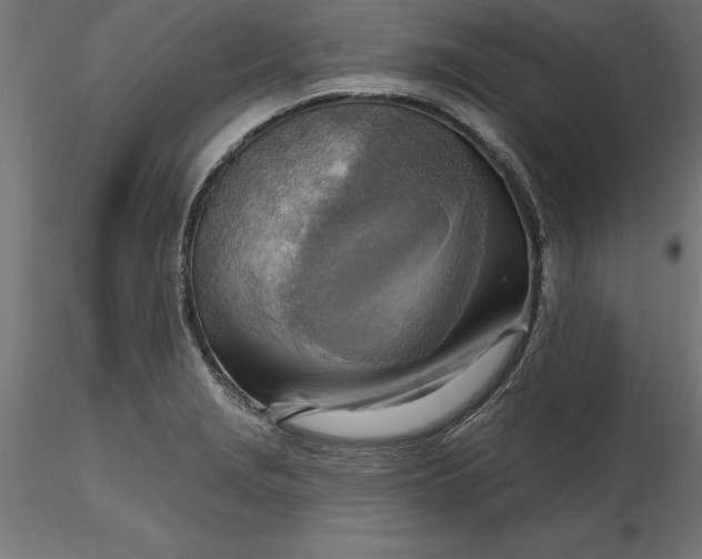 X0000116651229200912291609