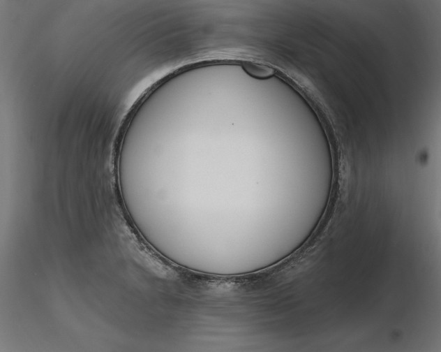 X0000116651230200912291609