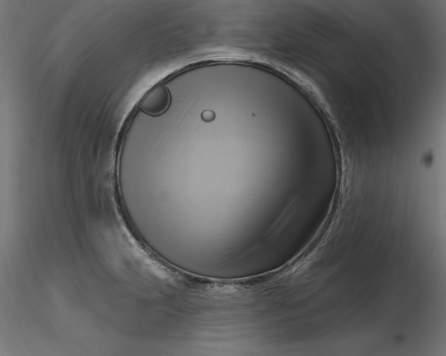 X0000116651231200912291609
