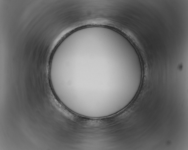 X0000116651232200912291609