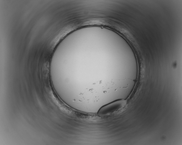 X0000116651233200912291609