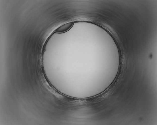 X0000116651236200912291609