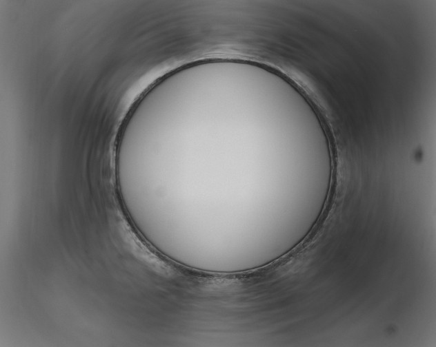 X0000116651238200912291609