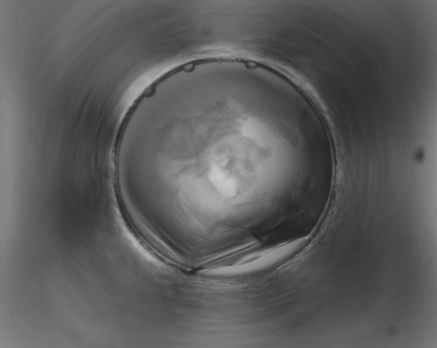 X0000116651239200912291609