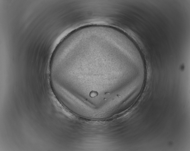 X0000116651240200912291609
