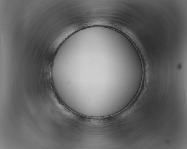 X0000116651241200912291609