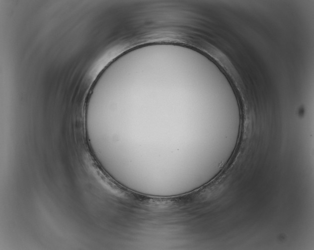 X0000116651242200912291609