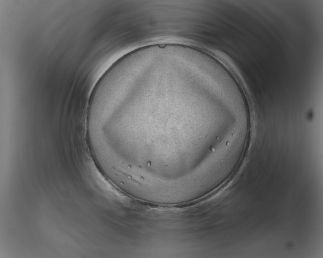 X0000116651244200912291609