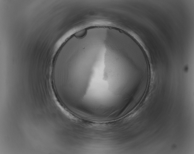 X0000116651245200912291609