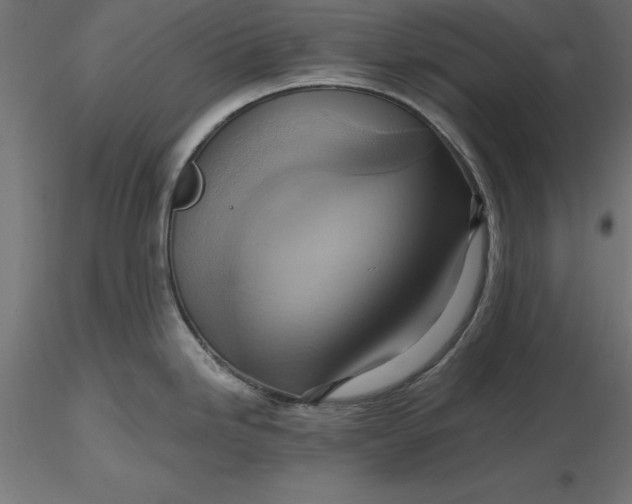 X0000116651246200912291609
