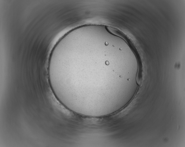X0000116651248200912291609